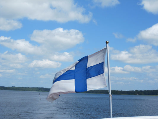 Bandera finlandesa en un mástil con un lago de fondo.